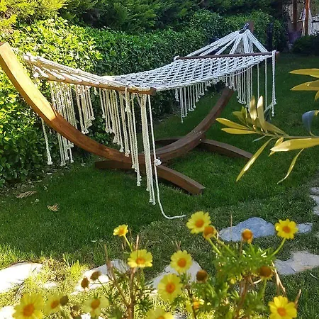 Kekik Alacati Mayko Cesme