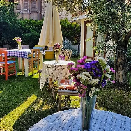 Kekik Alacati Mayko Cesme