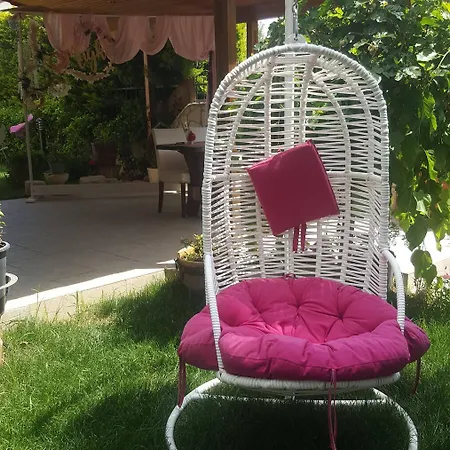 Kekik Alaçatı Mayko Çeşme