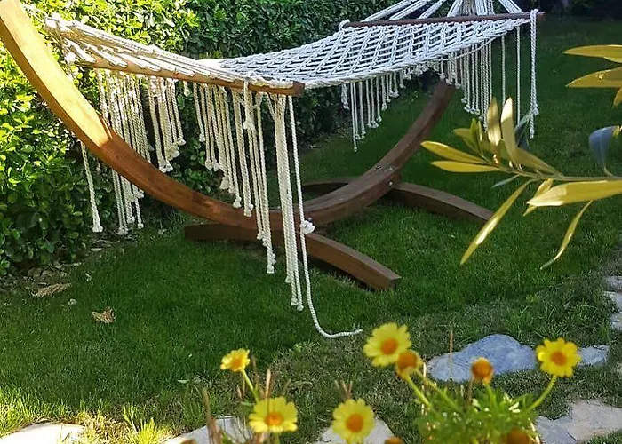 Kekik Alaçatı Mayko Çeşme